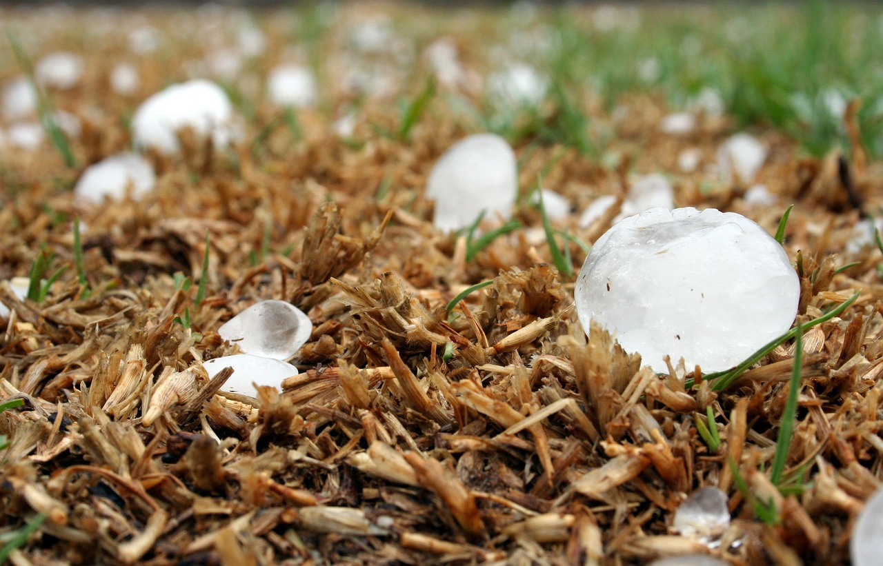 hailstone